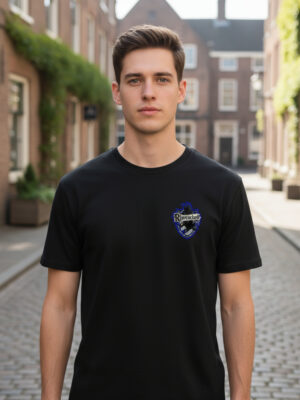 Remera Harry Potter Ravenclaw Memoestampados!