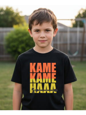 Remera: Kame Kame Haa Memoestampados