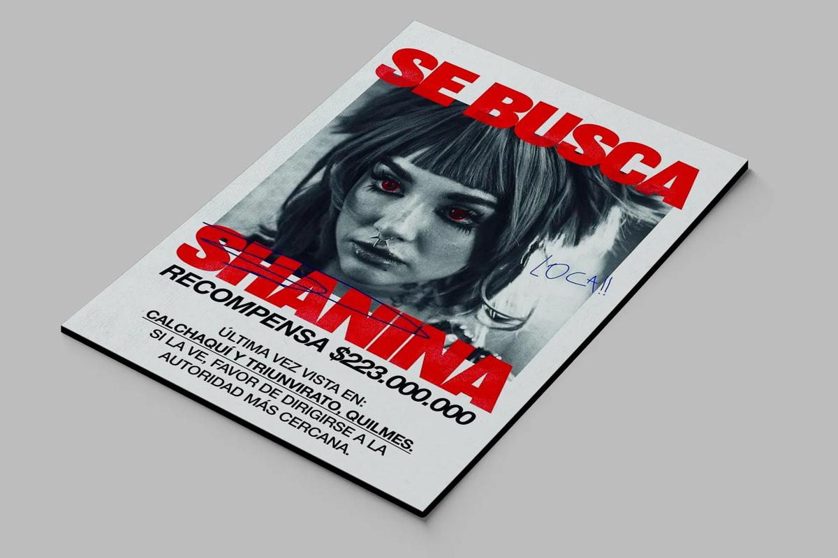 Cuadro 629 María Becerra Shanina 70x100 Mdf Memoestampados - Imagen 2