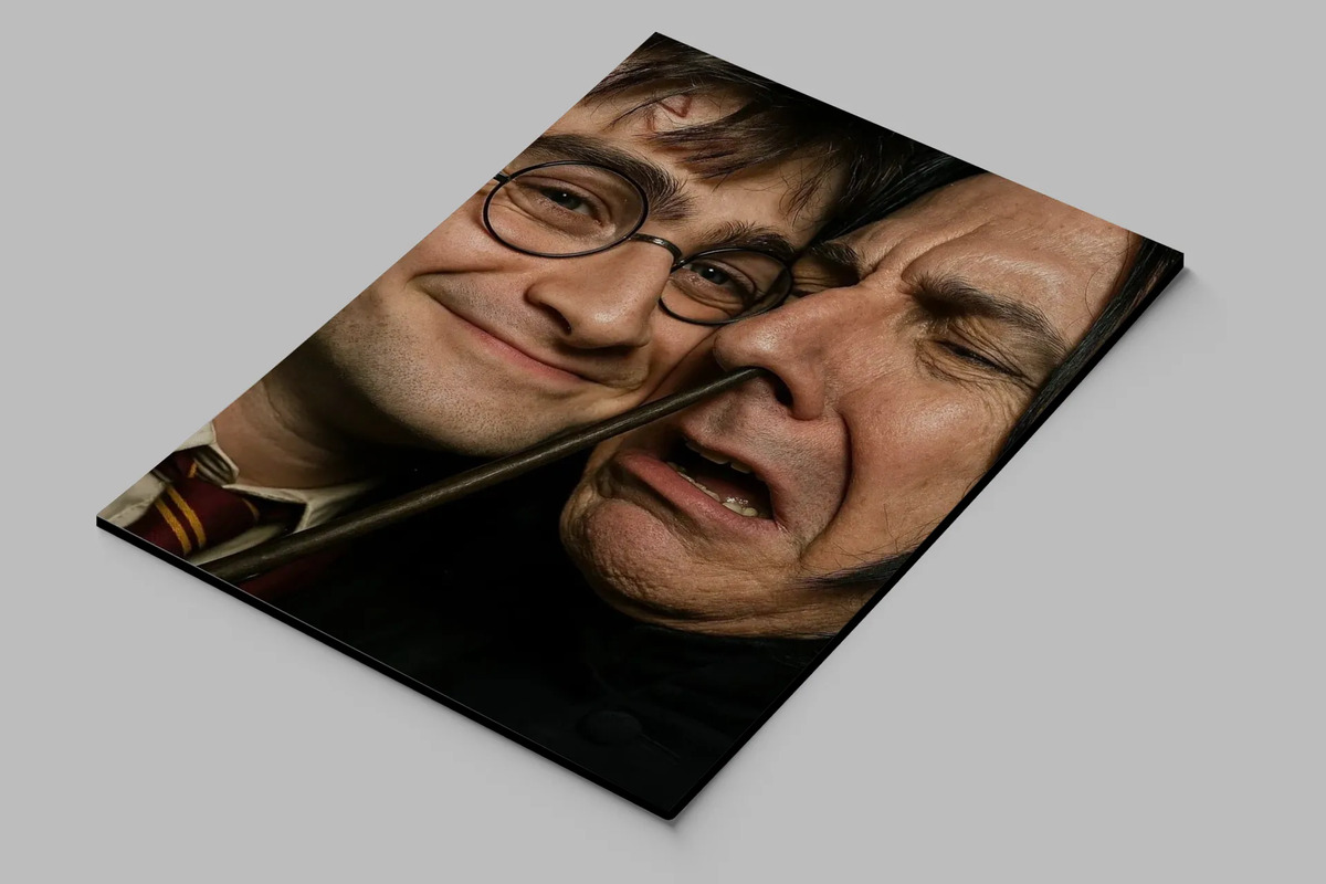 Cuadro Decorativo Harry Y Severus 30x40 Memo Estampados - Imagen 2