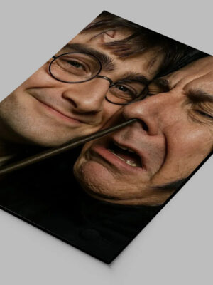 Cuadro Harry Y Severus 864 40x53 Mdf Memoestampados