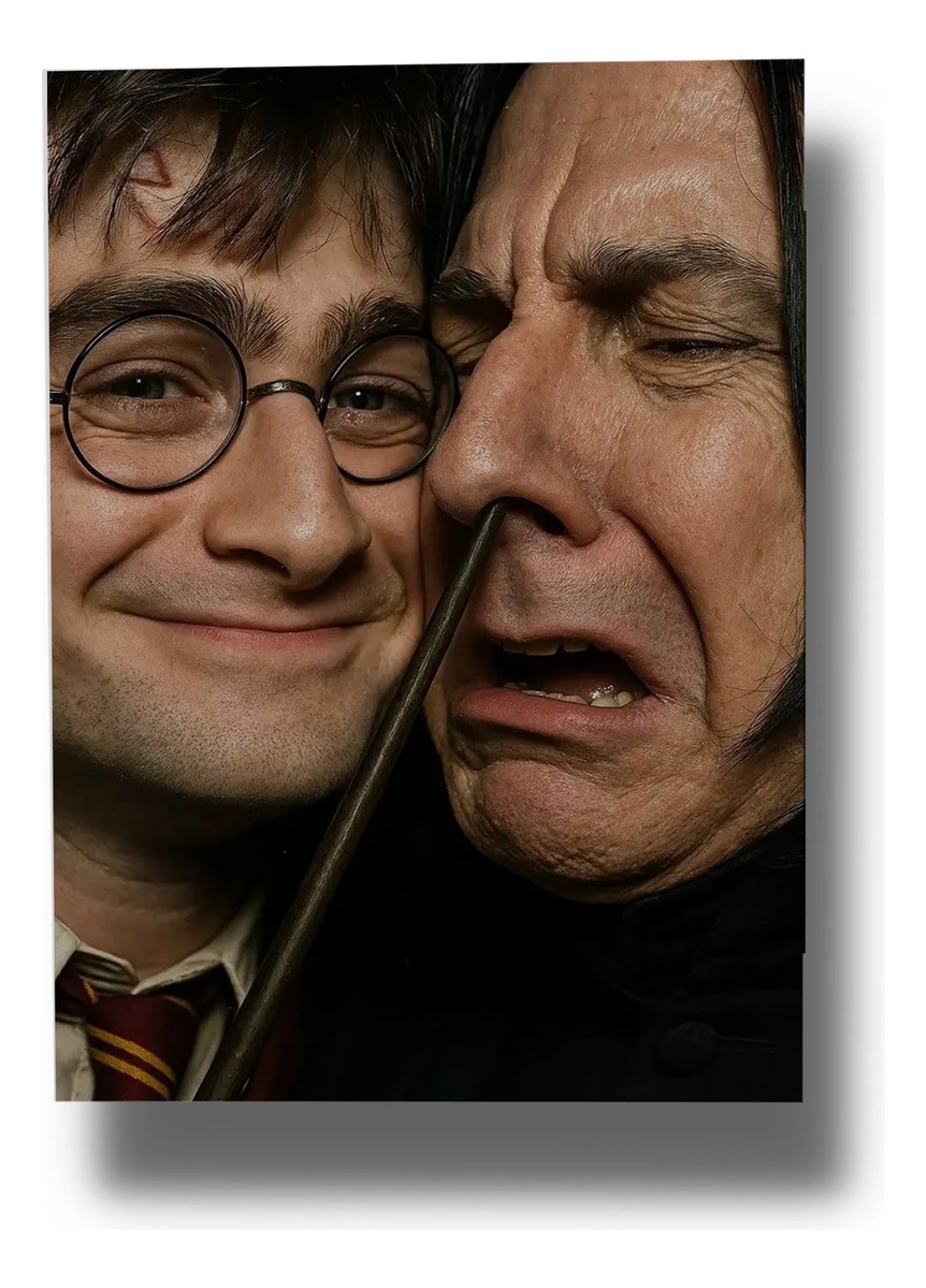 Cuadro Harry Y Severus 864 40x53 Mdf Memoestampados - Imagen 2