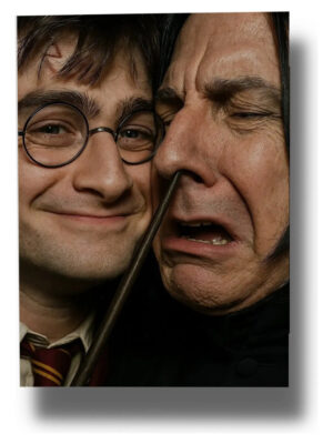 Cuadro Decorativo Harry Y Severus 30x40 Memo Estampados