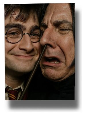 Cuadro Harry Y Severus 864 70x100 Mdf Memoestampados
