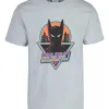 Remera: Beyond Batman Memoestampados