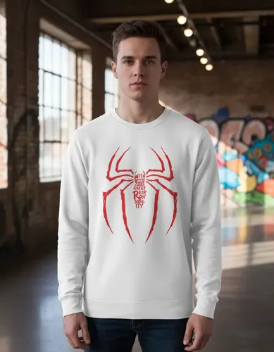 D_614739-MLU95050770072_102025-O.jpg Buzo Spiderman Letter Memoestampados