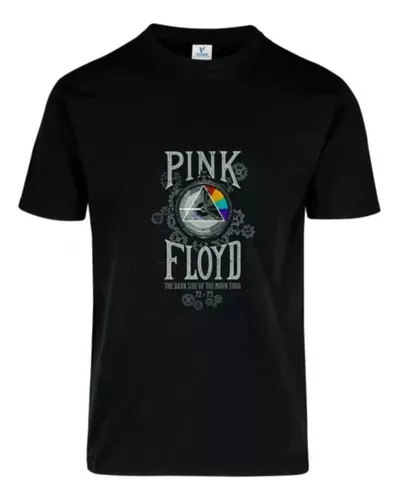 D_657852-MLU79138992032_092024-O.jpg Remera: Pink Floyd Rock Moon Memoestampados