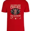 D_660249-MLU91736254025_092025-O.jpg Remera: Los Fabulos Cadillacs Memoestampados