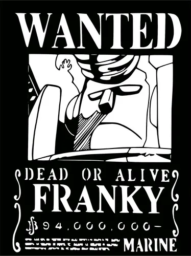 Cuadro One Piece Franky 40cm Calado Memoestampados