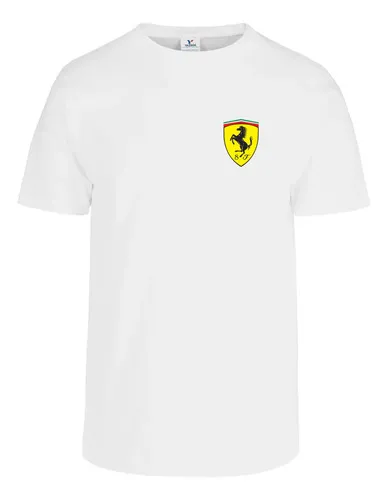 Remera: Michael Schumacher F1 01 Memoestampados