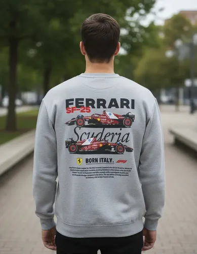 D_682073-MLU96520464795_102025-O.jpg Buzo Ferrari F1 03 Memoestampados