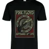 Remera: Pink Floyd Wish You Were Here Memoestampados Remera: Pink Floyd Wish You Were Here