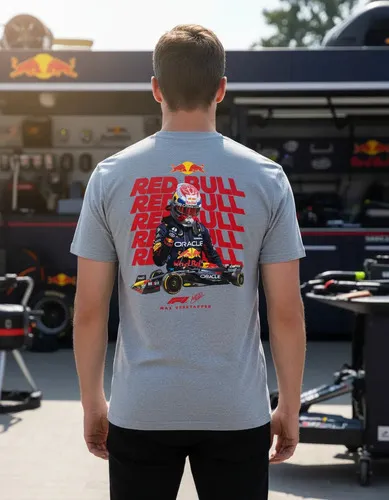 D_709183-MLU94930967862_102025-O.jpg Remera: Max Verstappen F1 02 Memoestampados