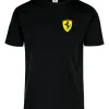 D_728748-MLU96172666797_102025-O.jpg Remera: Ferrari F1 02 Memoestampados