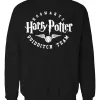 D_729588-MLU84510669512_052025-O.jpg Buzo Harry Potter Hogwarts Quidditch Memoestampados