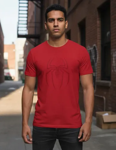 Remera: Spiderman Letter Memoestampados