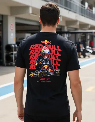 D_761590-MLU94928186590_102025-O.jpg Remera: Max Verstappen F1 02