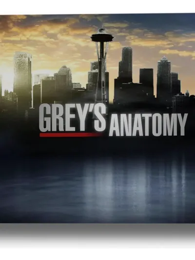Cuadro Greys Anatomy 515 70x100 Lienzo Memoestampados