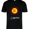 D_772226-MLU80117282627_102024-O.jpg Remera: Harry Potter Estación Memoestampados