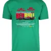 Remera: F1 Redbull Max Memoestampados