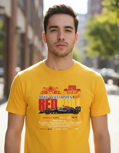 Remera: F1 Redbull Max Memoestampados