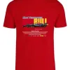Remera: F1 Redbull Max Memoestampados