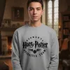 D_801438-MLU93864187854_102025-O.jpg Buzo Harry Potter Hogwarts Quidditch Memoestampados