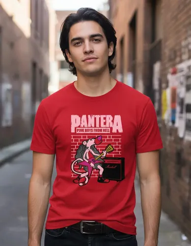 D_802593-MLU94361414871_102025-O.jpg Remera: Pantera Rosa Memoestampados