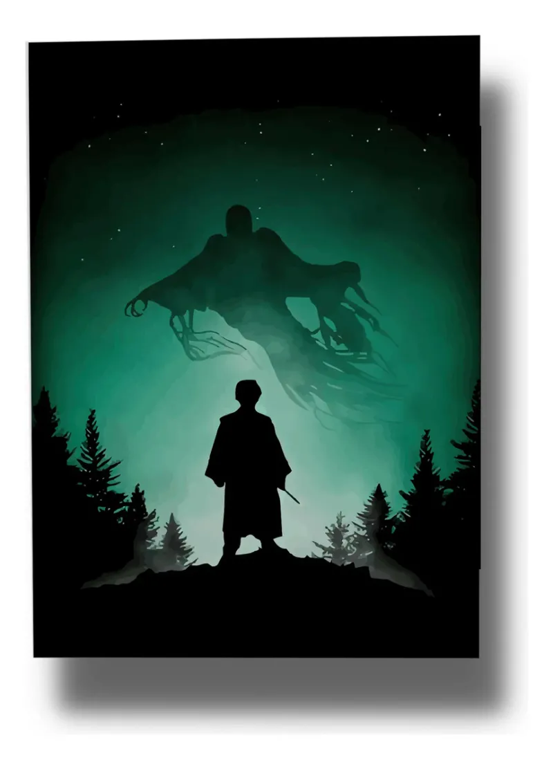Cuadro Harry Potter 583 Lienzo 40x53 Memoestampados