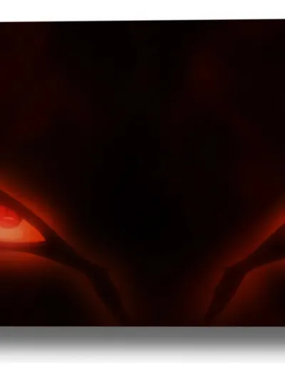 Cuadro Naruto 465 50x70 Lienzo Memoestampados