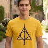 Remera: Harry Potter Reliquias Memoestampado