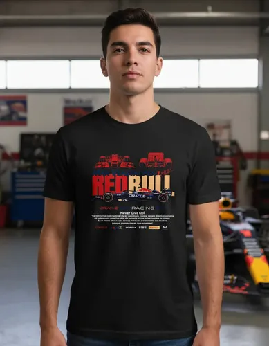 Remera: F1 Redbull Max Memoestampados