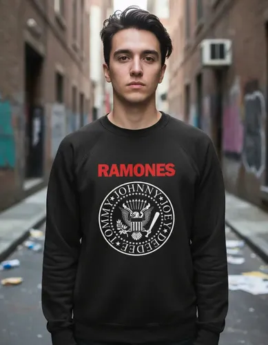 D_842264-MLU96667991382_112025-O.jpg Buzo Ramones 02 Memoestampados