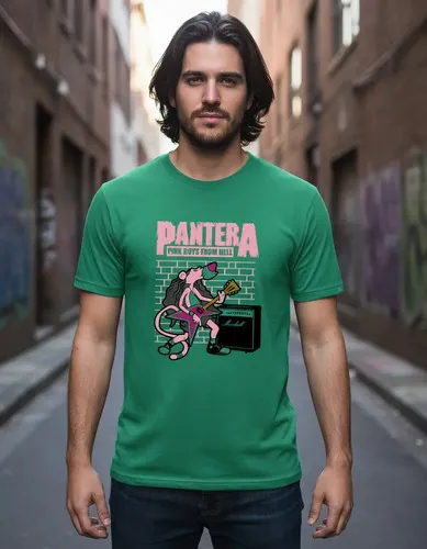 D_868383-MLU94361455065_102025-O.jpg Remera: Pantera Rosa Memoestampados