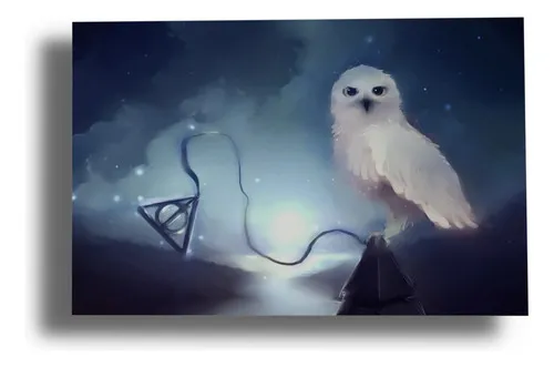D_891209-MLU79691253699_102024-O.jpg Cuadro Harry Potter, Hedwig 26 40x53 Mdf Memoestampados