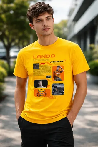 Remera: F1 Lando Norris Mclaren Memoestampados
