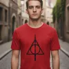 Remera: Harry Potter Reliquias Memoestampado
