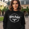 D_932166-MLU93863584260_102025-O.jpg Buzo Harry Potter Hogwarts Quidditch Memoestampados