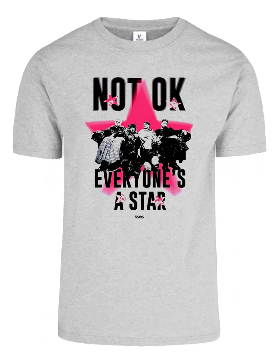 Remera: 5 Seconds Of Summer 04 Memoestampados
