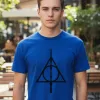 Remera: Harry Potter Reliquias Memoestampado