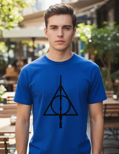 Remera: Harry Potter Reliquias Memoestampado