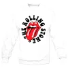 Buzo The Rolling Stones 04 Memoestampados