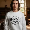 D_994491-MLU93864079144_102025-O.jpg Buzo Harry Potter Hogwarts Quidditch Memoestampados